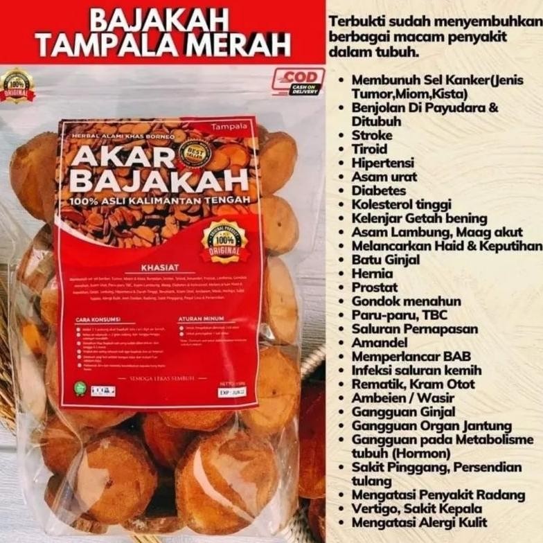 

AKAR BAJAKAH ASLI KALIMANTAN KUALITAS SUPER 250gr. aSt