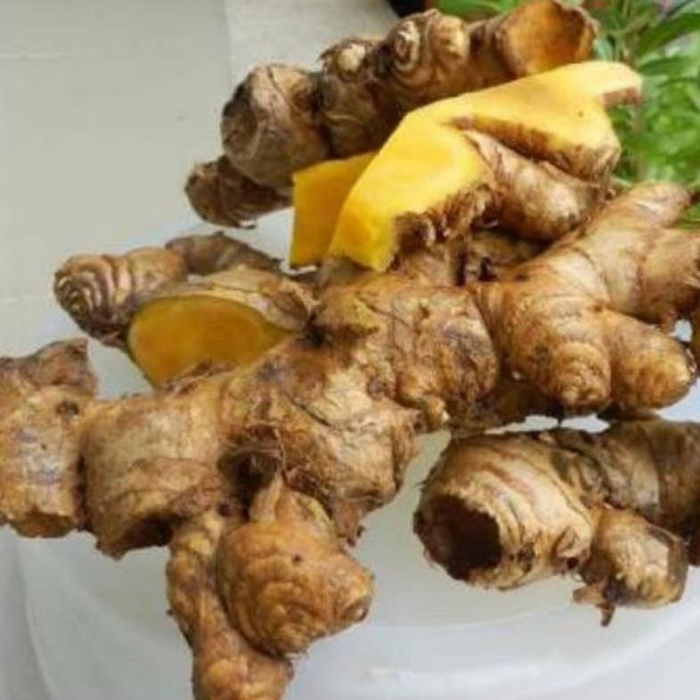 

Bangle I Panglai I Segar Murah Original Bisa Buat Bibit Juga aSt