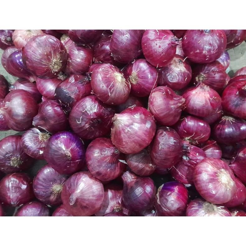 

Bawang Merah India / Bawang Peking 1kg aSt