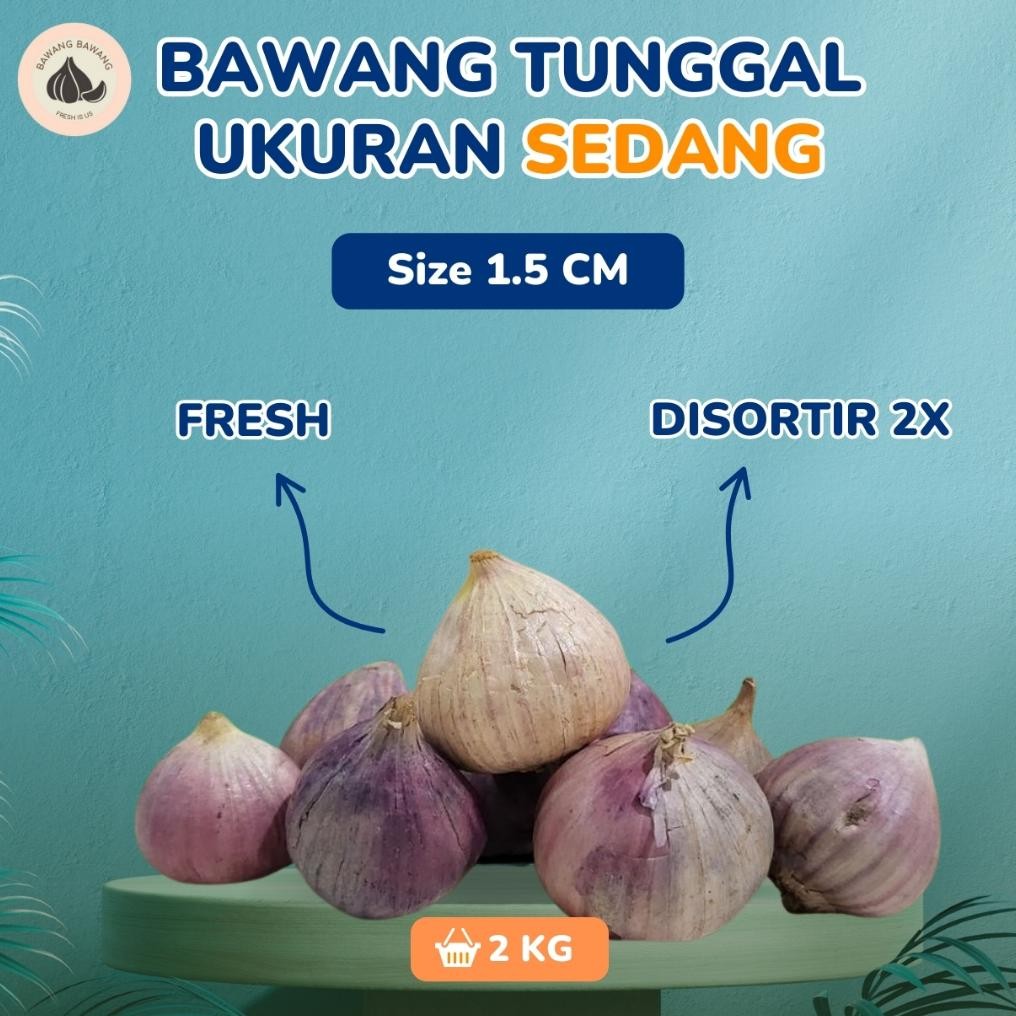 

2 KG PAKET Bawang Putih Tunggal Lanang SEDANG Ukuran 1.5 Cm aSt