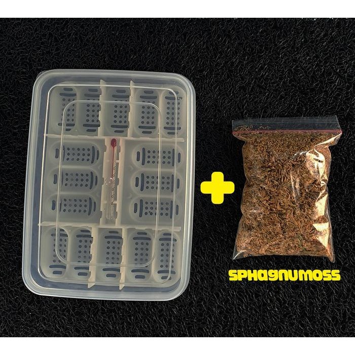 ATS incubator Reptile Egg | Inkubator Telur Reptil Kapasitas 16 Butir |  Incubator Telur Gecko | Inc