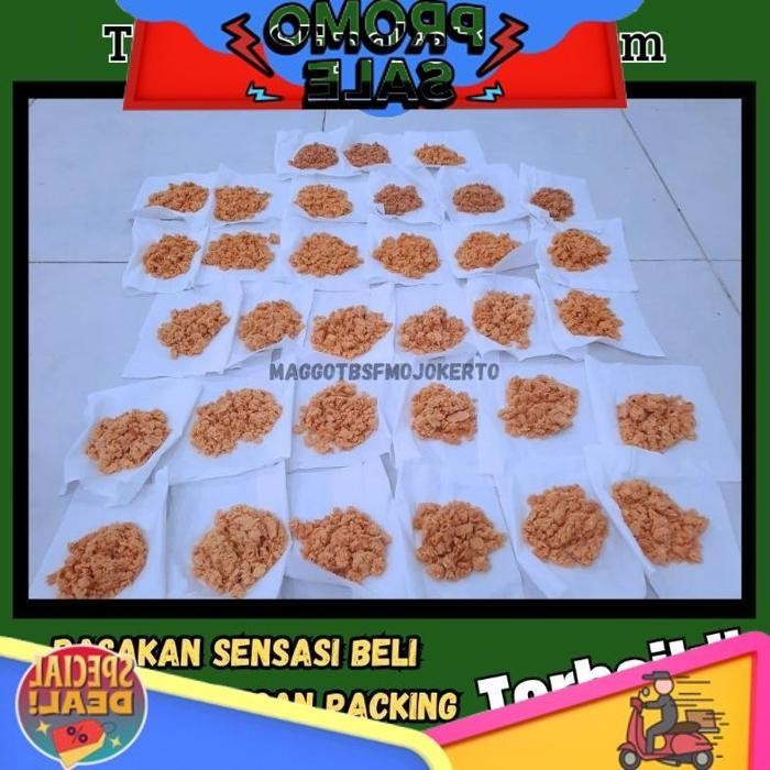 

Top Today Telur Bsf 10 Gram