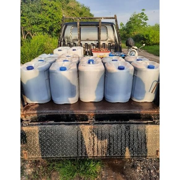 

(Terbaru) Madu Hutan Riau ( akasia crassicarpa) 5kg (Terlaris)