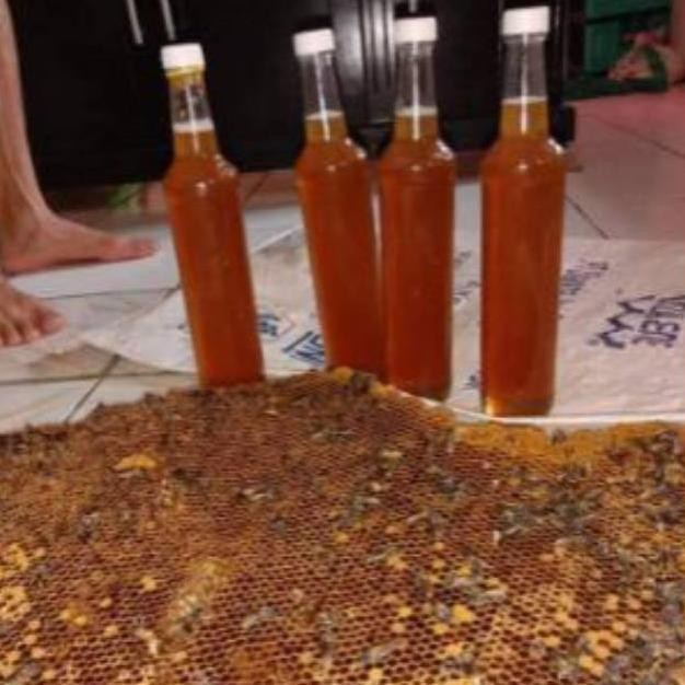 

(Terbaru) Madu Murni 100% MAdu Odeng Baduy (Terlaris)