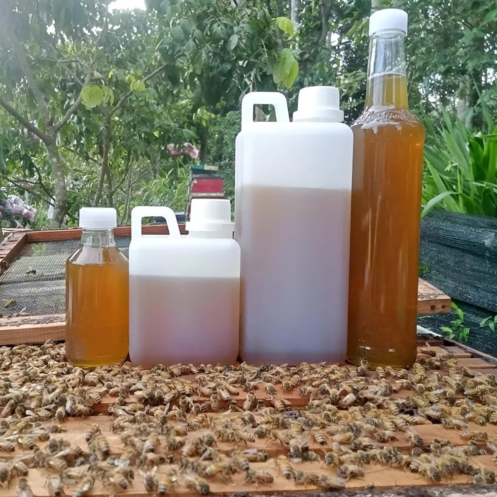 

(Terbaru) Madu Asli 100% Murni 1 Kg Tanpa Campuran, Dijamin Langsung dari Peternak (Terlaris)