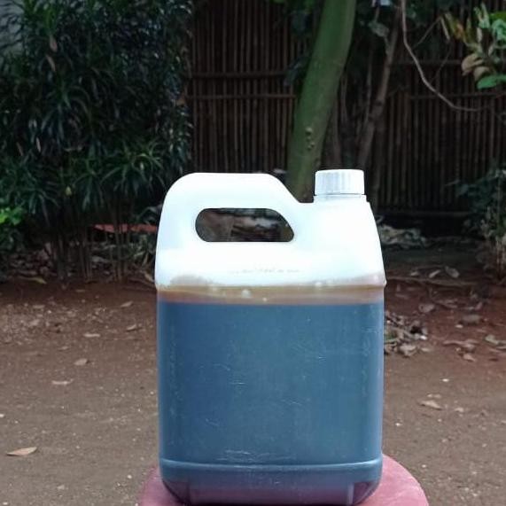 TERBARU MOLASE CAIR MURNI 5KG TETES TEBU PAKAN TERNAK SAPI KAMBING AYAM