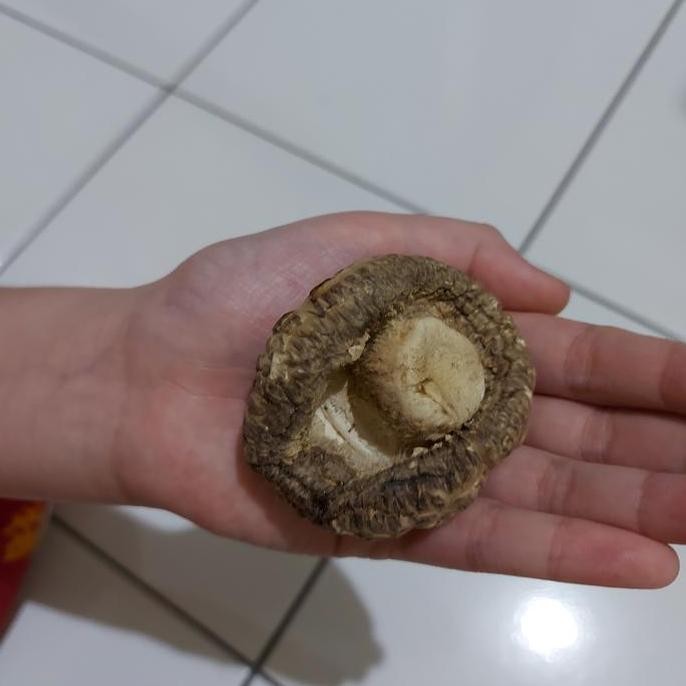 

Su Brand Jamur Kering Shitake/ Hioko Repack 250Gram Kualitas Terbaik Harga Termurah