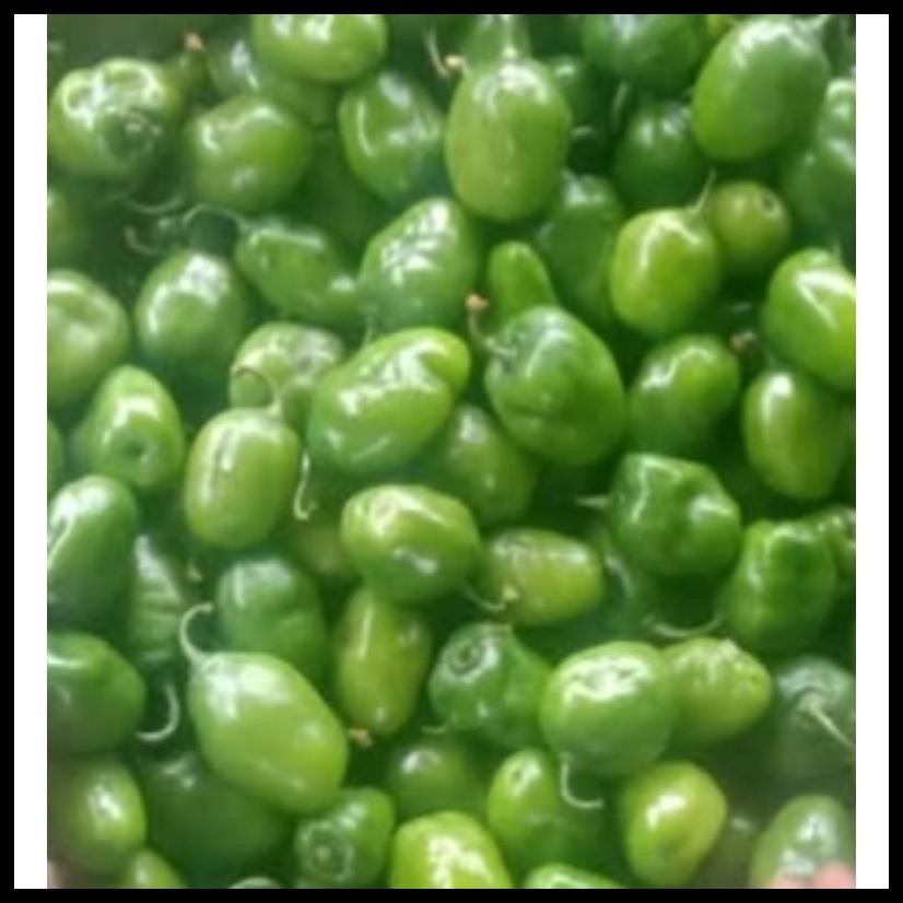 

CABE GENDOT DIENG 500GR