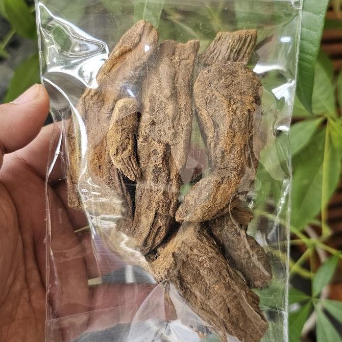 

Klembak / Kelembak Kering 100 gram