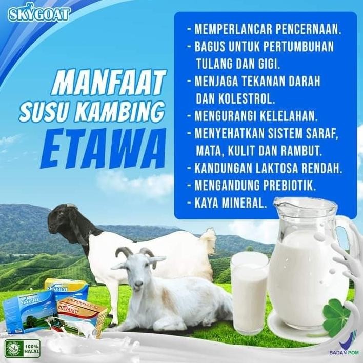 

Skygoat - Susu Kambing Etawa Rasa Original Isi 10 Sachet