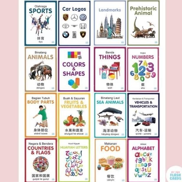 My Own Flashcards 3 bahasa / Flash Card Animal, Body Parts, Kartu Pintar Mainan Edukasi Flashcard An