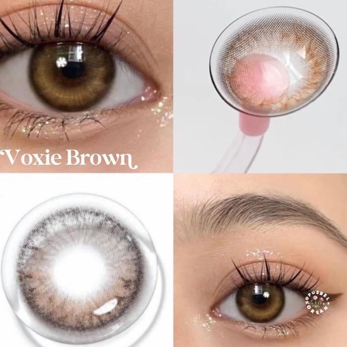 Pusbel Korean Softlens Voxie Kristin Brown Cacao Koreac