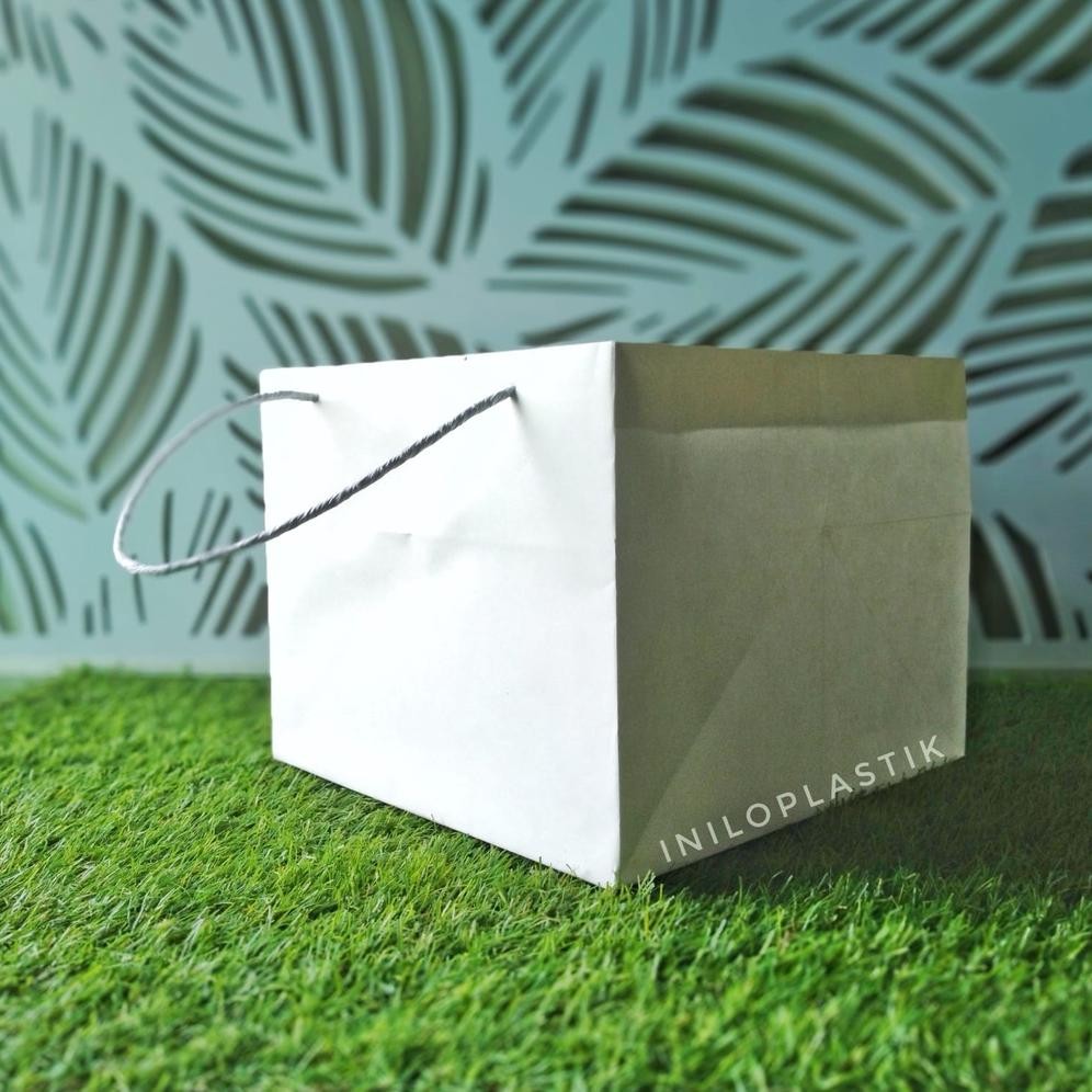 

Hj-45 We-53 1 Pack Shopping Bag 20+25X25 / Paper Bag Putih Polos Viral