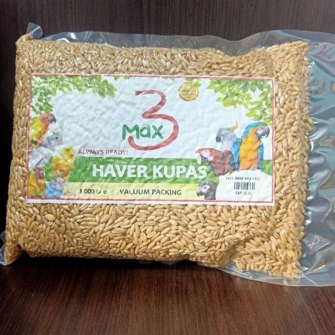 

PROMO - Haver seed kupas - biji oat pakan