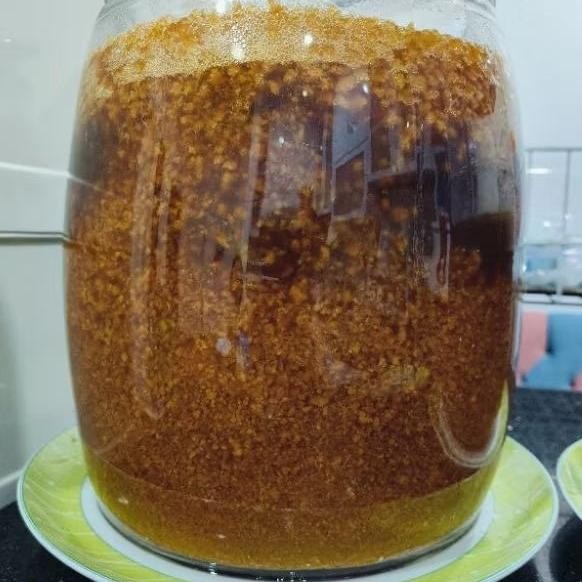 Bibit Teratai Salju Bibit Teratai Salju kualitas super herbal 500 g aSt