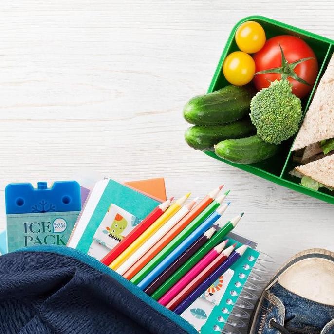 4Pcs Ice Pack Mini Blue Ice Pack Mini Reusable Pengganti Dry Ice Ice Pack Kotak Ice Pack Gel Mini