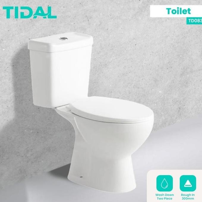 Toilet / Closet Duduk Tidal TD083