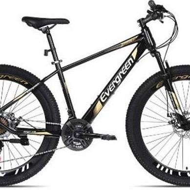 TERBARU - Sepeda Gunung MTB 27.5 Evergreen Discbrake 575