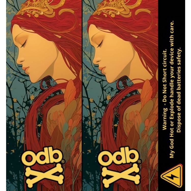 

[COD] Garskin Stiker Ambitionstore Stiker Wrap Baterai 18650 Odb Retro Art V2 Series Pelindung Dan Penghias Untuk Segala Merek 38 Label Custom Presisi Terlaris