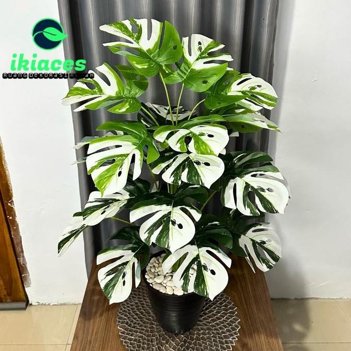 DAUN MONSTERA JUMBO VARIEGATA ARTIFICIAL 1 METER DAUN PLASTIK DEKORASI