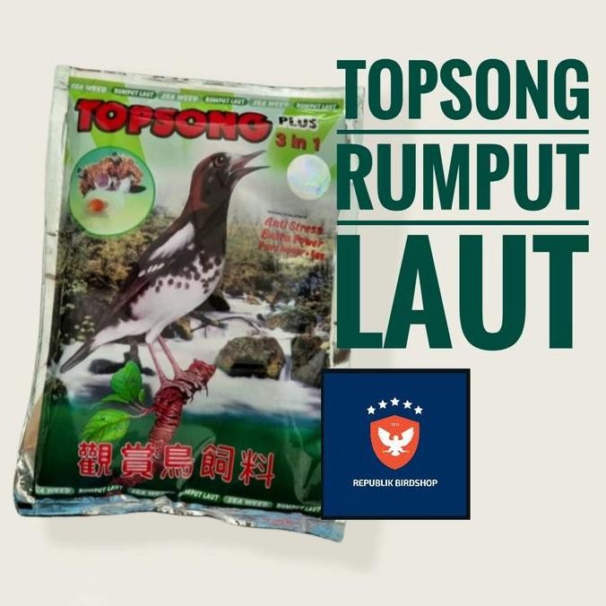 

Best Seller !!! Topsong Hijau Rumput Laut