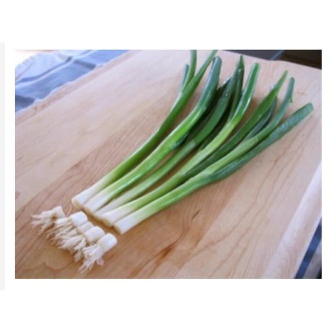 

JH8 Daun Bawang Bumbu Dapur Bawang Daun