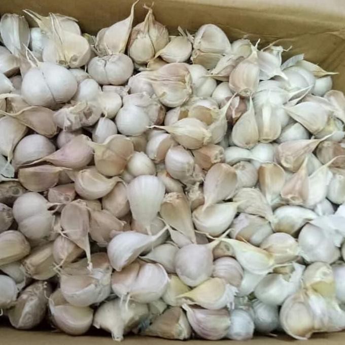 

JH8 Bawang Kating 500 GRAM dan 1 Kilo Import Kwalitas Bagus