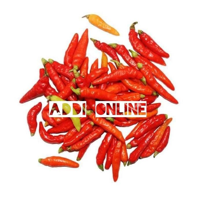 

JH8 Cabe Rawit Super (Cabai Setan)