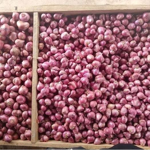 

JH8 Bawang merah ukuran sedang tanggung 1 kg Jahe Pedas Spices Rempah Masakan Bahan Bubuk