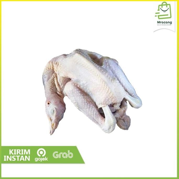 

JH8 AYAM KAMPUNG UKURAN LARGE / AYAM FRESH