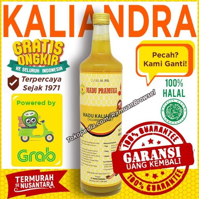 

NEW Madu Pramuka Kaliandra 650 ml READY