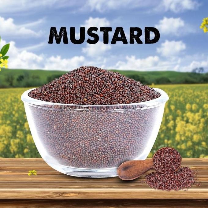

] MUSTARD SEEDS 100 GM