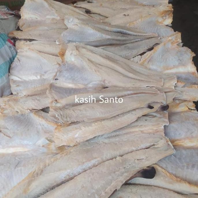 

Ikan Asin Jambal 500Gram