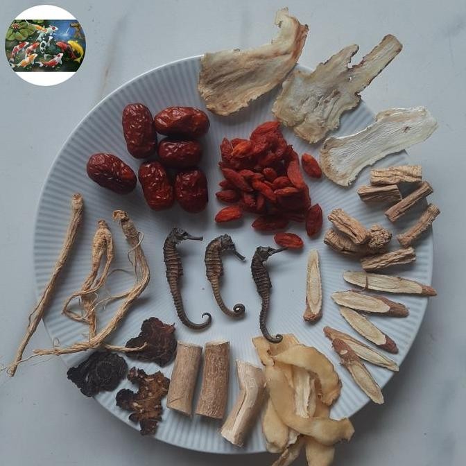 

TERBARU - Herbal Siap rendam 10 jenis herbal alami