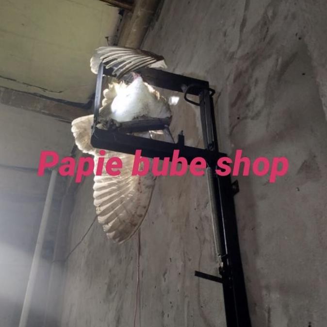 TERLARIS - Jebakan Burung Hantu Rumah Walet Alat Tangkap Perangkap