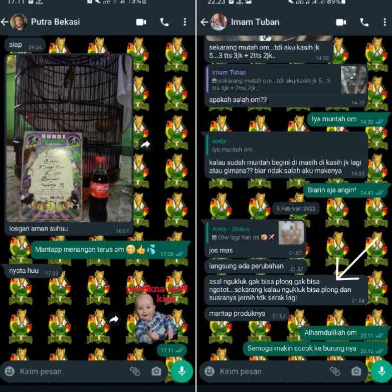 OBAT GURAH BURUNG LENDIR SQUAD VITAMIN SUPLEMEN SUPER CUCAK HIJAU MURAI BATU KACER ND8