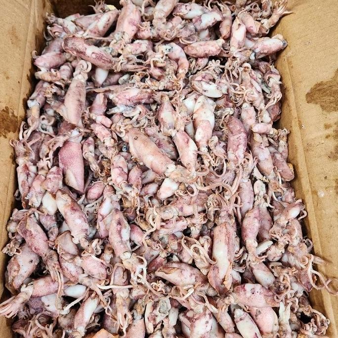 

Ikan Asin Cumi Bk Spr 1 Dus 10Kg/10.000Gram
