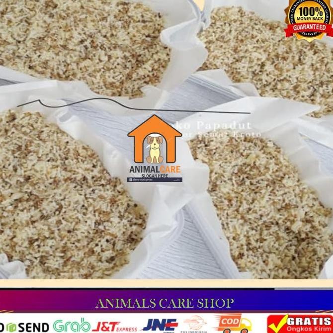 BARU KROTO SUPER PERA SUPER NON SEMUT, UMPAN PANCING 1 ONS - WADAH PLASTIK