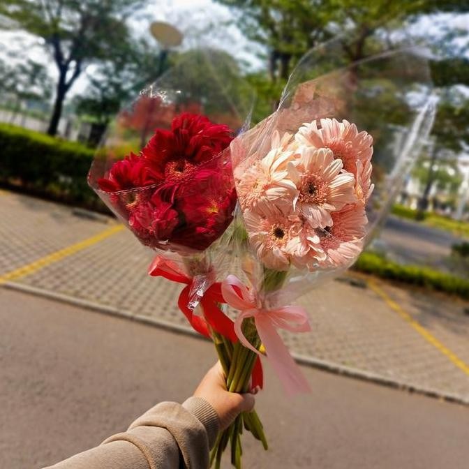 Bunga Gerbera Fresh isi 10 gerberamerah gerbera pink bunga gerbera