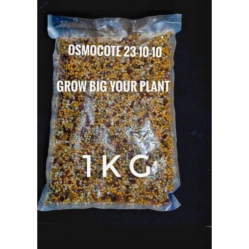 Pupuk Osmocote Decastar Slow Release Super 23-10-10 Pupuk Tanaman Hias Aglonema Anggrek Bonsai 1Kg