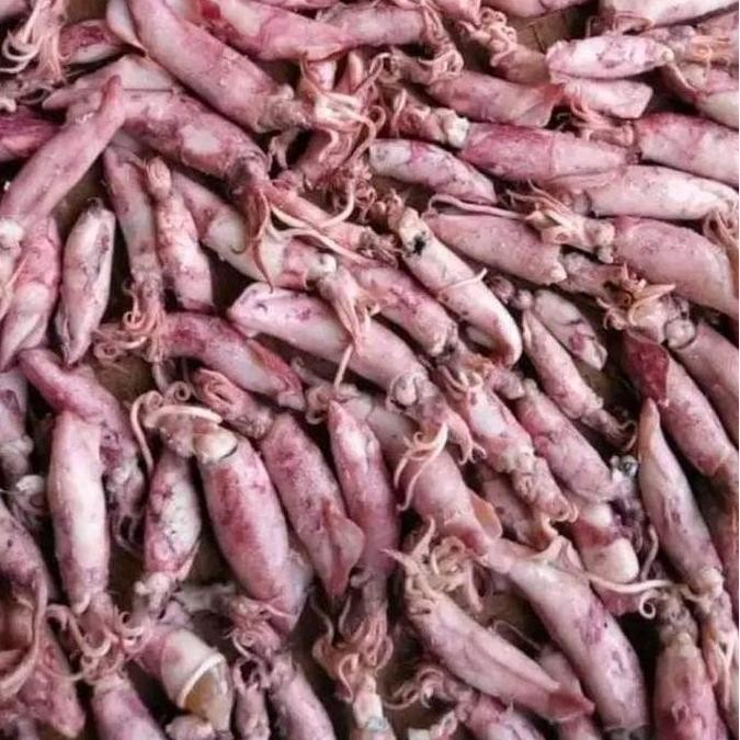 

ikan asin cumi sontong fress Food