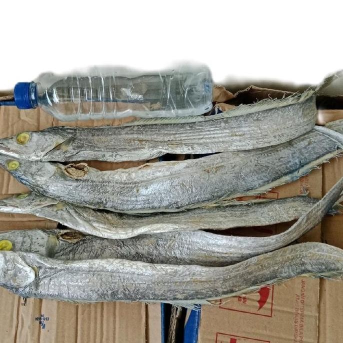 

ikan baledang layur asin jumbo kering Food