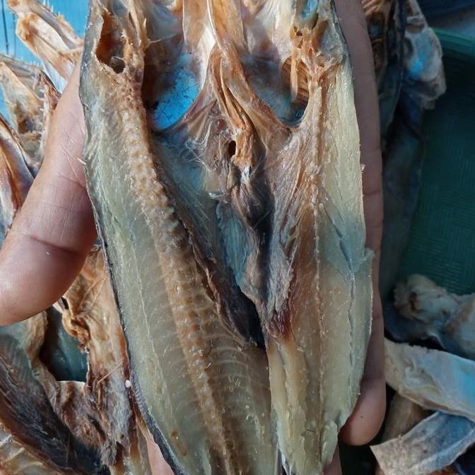 

ikan asin tenggiri