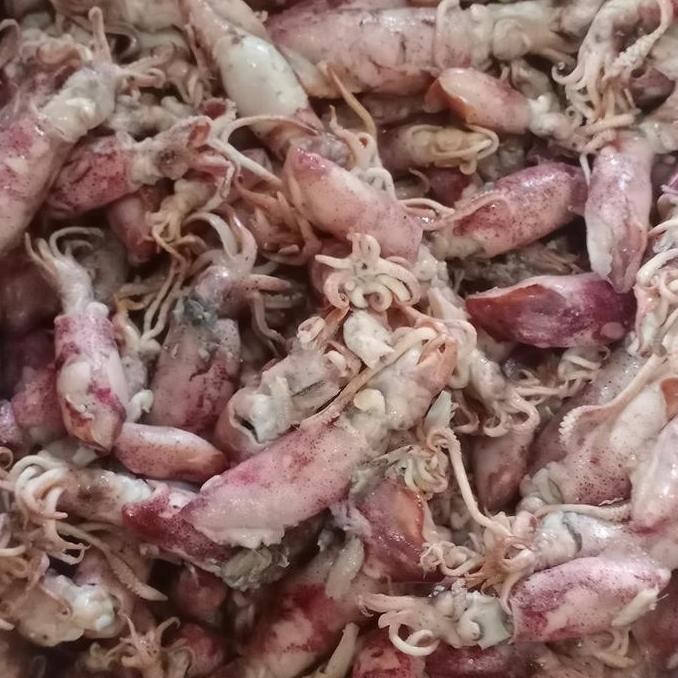 

ikan asin cumi / sotong 500gram