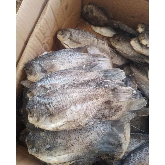 

Ikan Asin Sepat Siam Besar Jumbo 1 Kg .