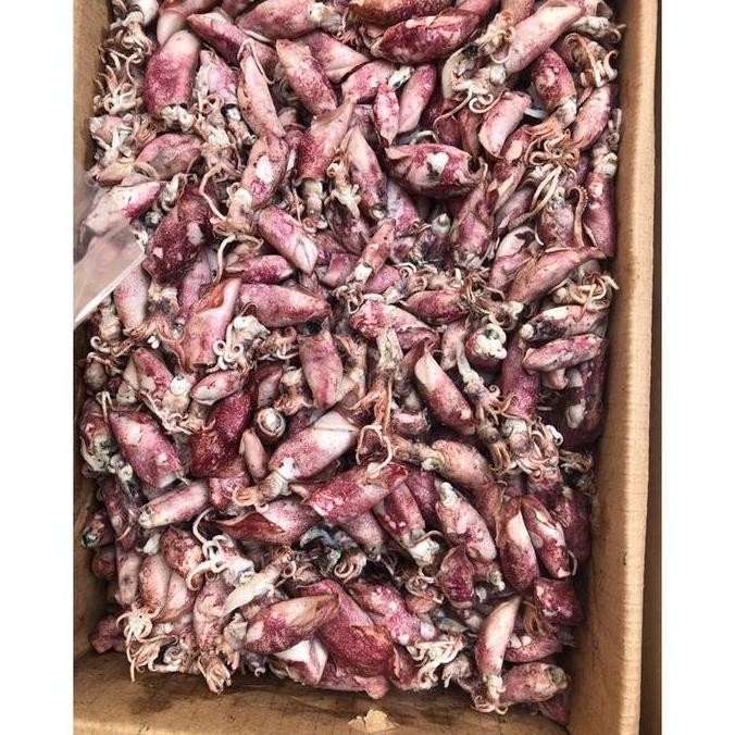 

Ikan Asin Cumi Sotong PREMIUM 500gr