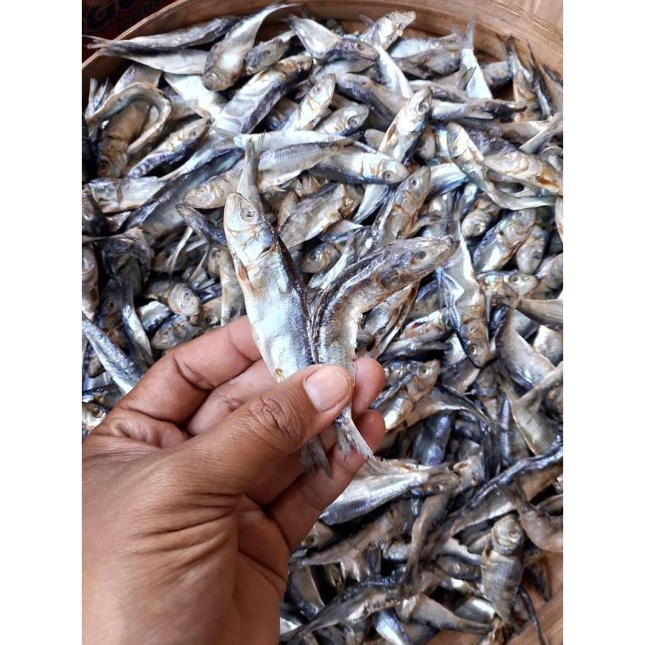 

PRODUK TERLARIS IKAN ASIN SEMENIT / LEMURU ASIN KERING SEBANYAK 1 KILOAN UNTUK KONSUMSI MAKANAN - FOOD READYY