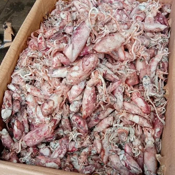 

Ikan Asin Ukuran 500 GR CUMI PEDA DLL kualitas terjamin harga termurah