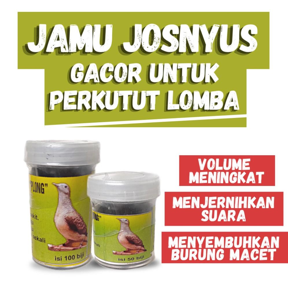 Vitamin Burung Perkutut Jamu Perkutut Pil Perkutut Gacor Obat Perkutut Pakan Burung Perkutut Gacor D