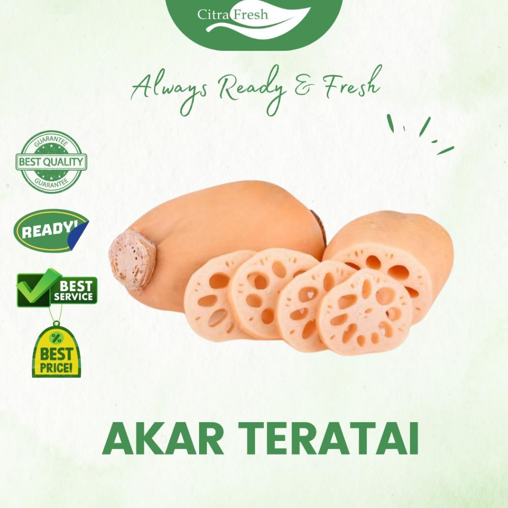 

CITRA FRESH - Akar Teratai Lotus 1 Kg - Selalu Ready dan Fresh